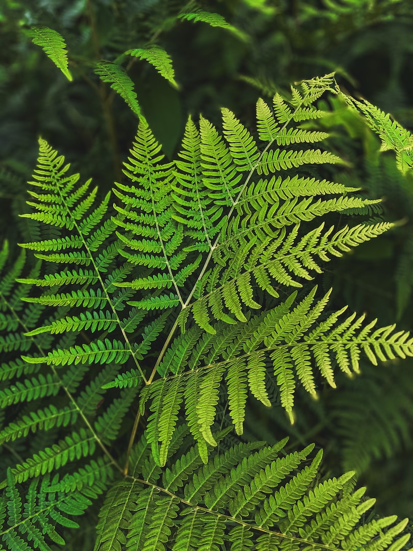 unsplash-image