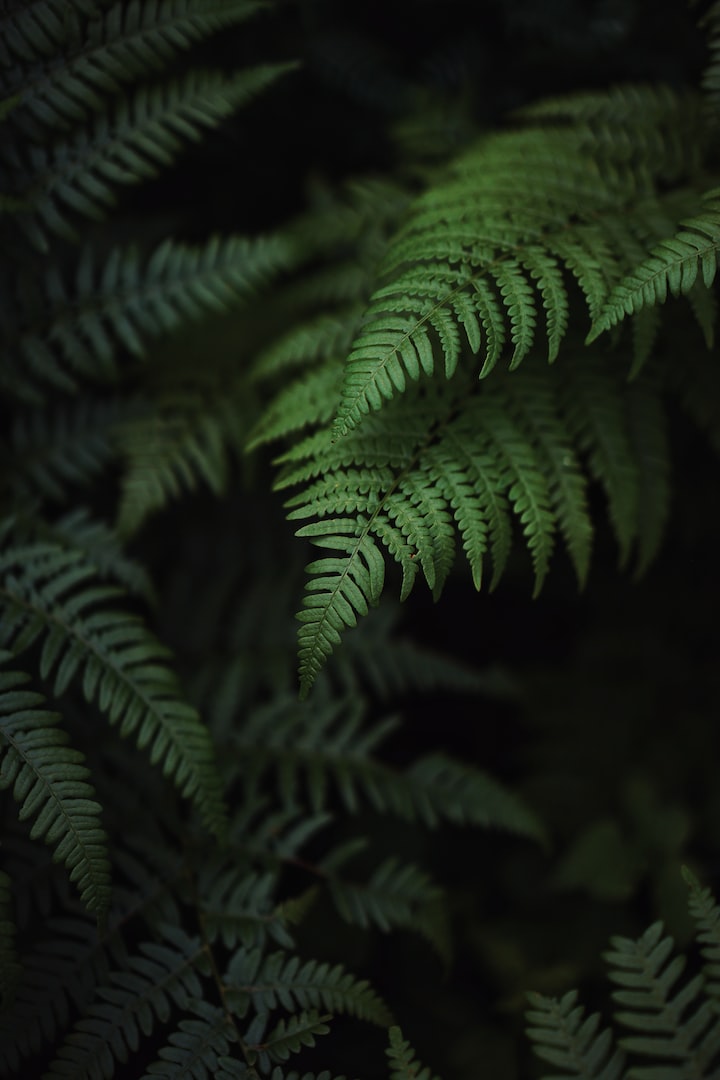 unsplash-image