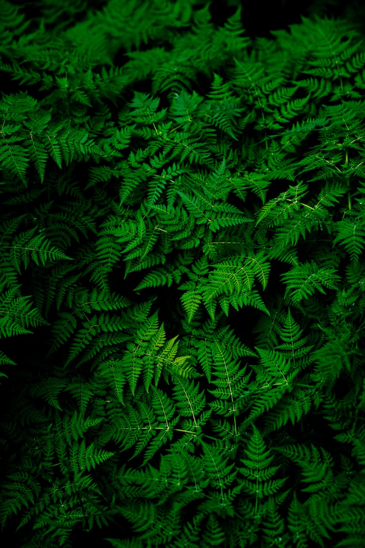 unsplash-image
